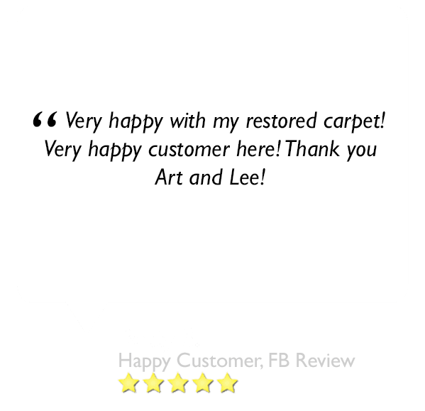 This is a 5 star review left about our carpet cleaning company in orlando