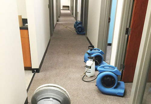 office carpet cleaning orlando