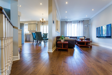 Hardwood Floor Cleaning and Rug Cleaning Experts in Orlando