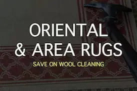 rug cleaning services 